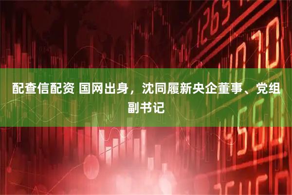 配查信配资 国网出身，沈同履新央企董事、党组副书记