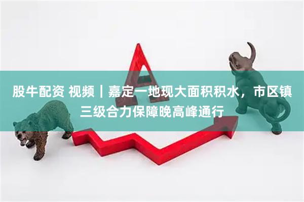 股牛配资 视频｜嘉定一地现大面积积水，市区镇三级合力保障晚高峰通行