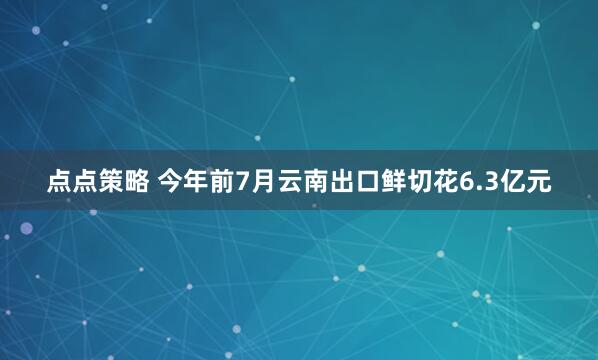 点点策略 今年前7月云南出口鲜切花6.3亿元