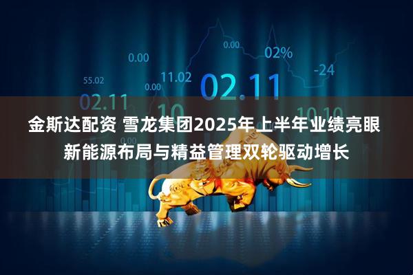 金斯达配资 雪龙集团2025年上半年业绩亮眼 新能源布局与精益管理双轮驱动增长