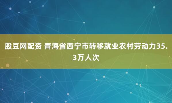 股豆网配资 青海省西宁市转移就业农村劳动力35.3万人次