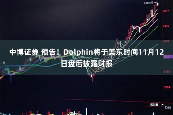 中博证券 预告！Dolphin将于美东时间11月12日盘后披露财报